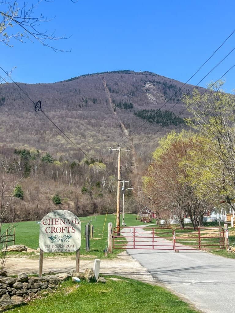 Looking up at the Mount Greylock summit