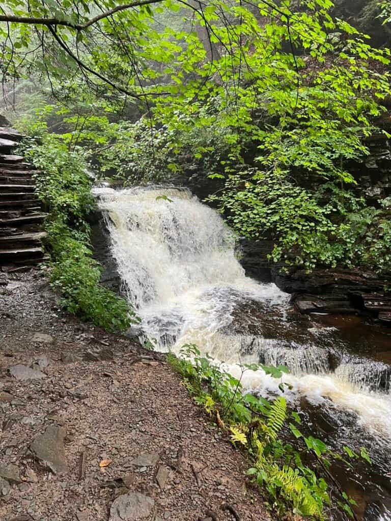 Conestoga Falls along the Falls Trail in Ricketts Glen State Park, where water spills over a rock ledge beside the hiking trail.