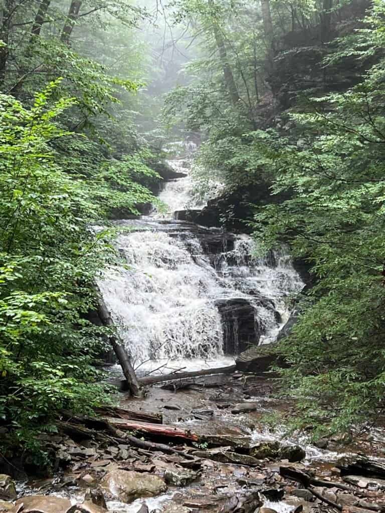 Tuscarora Falls along the Falls Trail in Ricketts Glen State Park, cascading down multiple rocky tiers through a narrow, forested ravine.