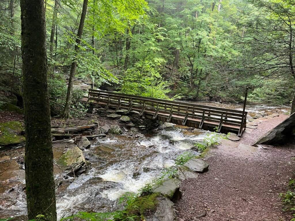 Footbridge and trail crossing at Waters Meet in Ricketts Glen State Park, where streams converge along the Falls Trail.