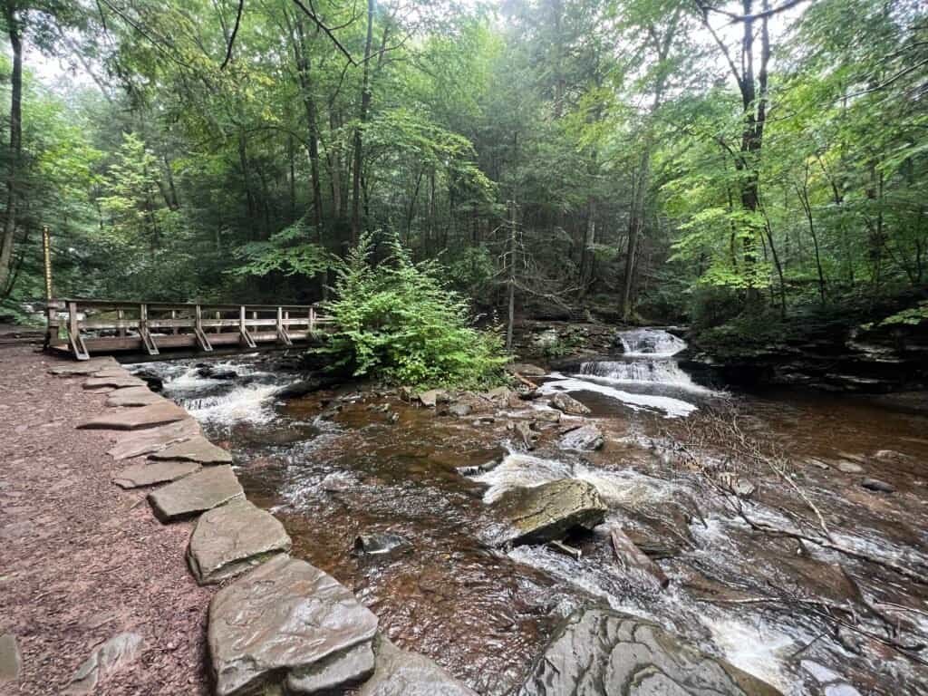 Waters Meet in Ricketts Glen State Park, showing the confluence of streams and surrounding forest along the Falls Trail.