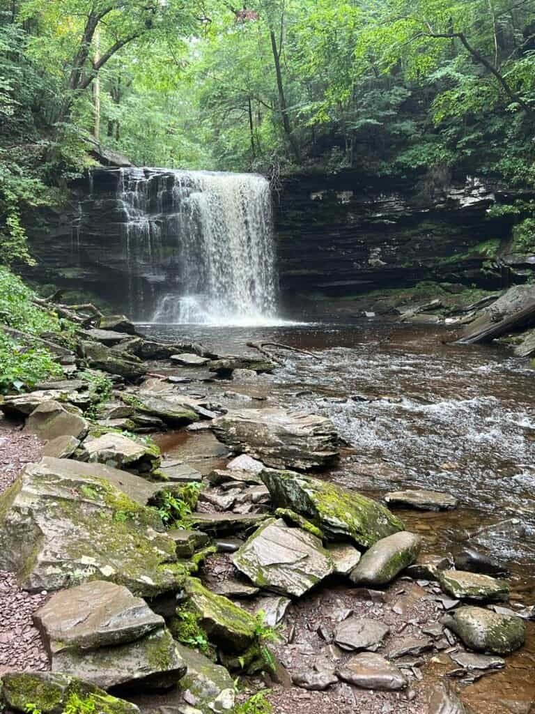 Harrison Wright Falls along the Falls Trail in Ricketts Glen State Park, where water drops over a broad rock ledge into a shallow pool.