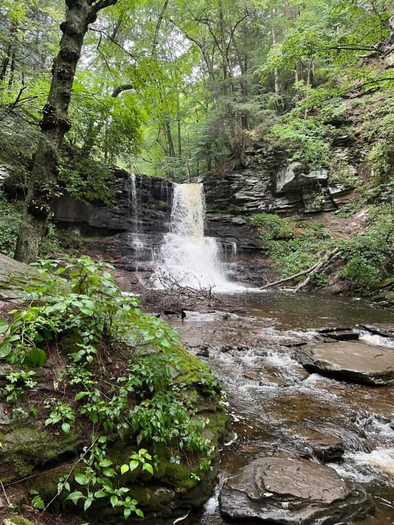 Sheldon Reynolds Falls along the Falls Trail in Ricketts Glen State Park, a narrow waterfall pouring into a wooded gorge.