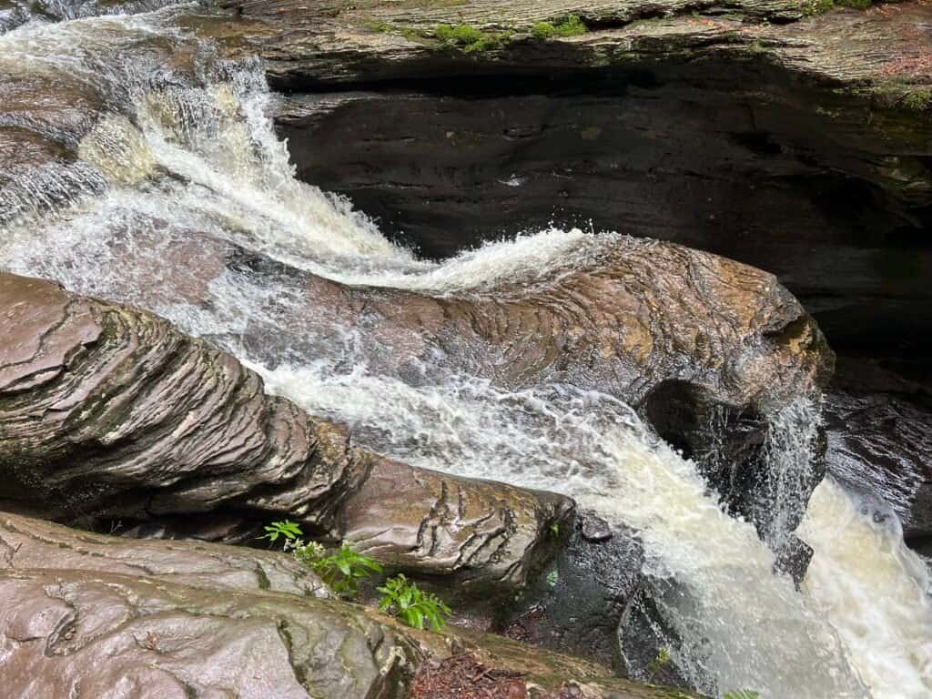 Murray Reynolds Falls along the Falls Trail in Ricketts Glen State Park, where fast-moving water rushes through sculpted rock channels.
