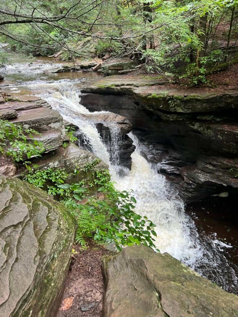 Murray Reynolds Falls in Ricketts Glen State Park, a compact waterfall dropping into a shaded forest pool.
