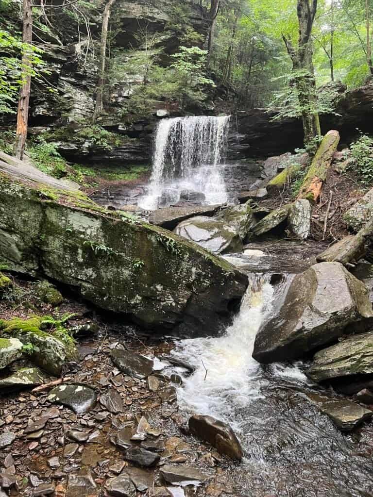B. Reynolds Falls in Ricketts Glen State Park, where water drops over a rock ledge and cascades through layered stone below.