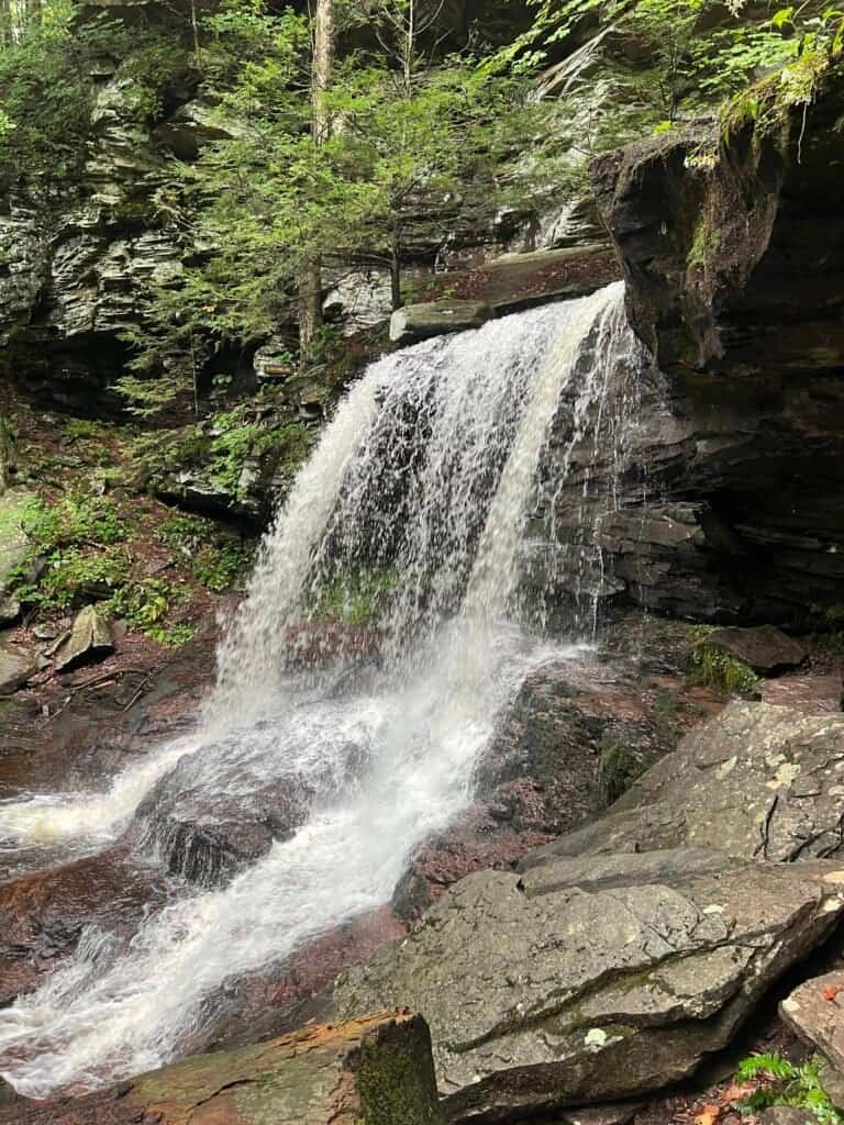 B. Reynolds Falls along the Falls Trail in Ricketts Glen State Park, featuring a short waterfall plunging over a rock shelf.