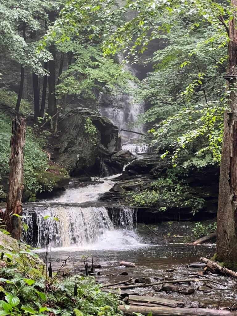 Ozone Falls cascading over layered rock in a forested ravine along the Falls Trail at Ricketts Glen State Park.