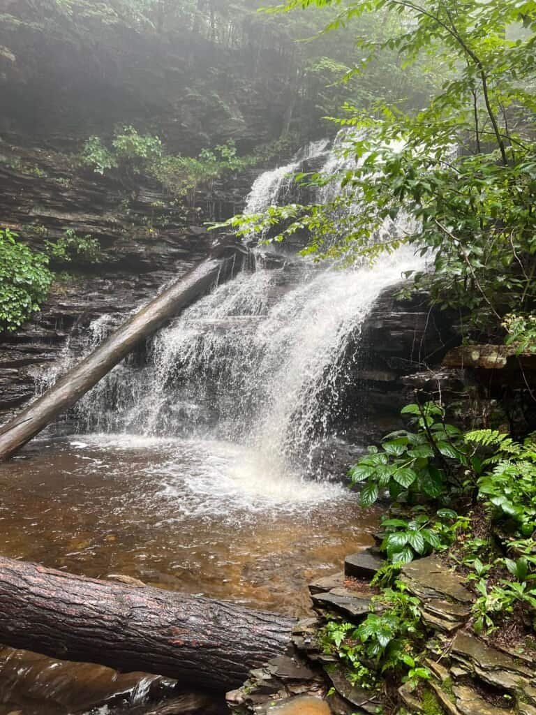 Shawnee Falls flowing diagonally across sloped rock into a shallow pool along the Falls Trail at Ricketts Glen State Park.