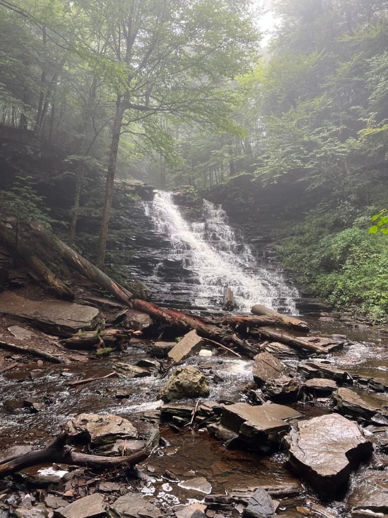 F. L. Ricketts Falls cascading down a broad, stepped rock face in a misty forest setting at Ricketts Glen State Park.