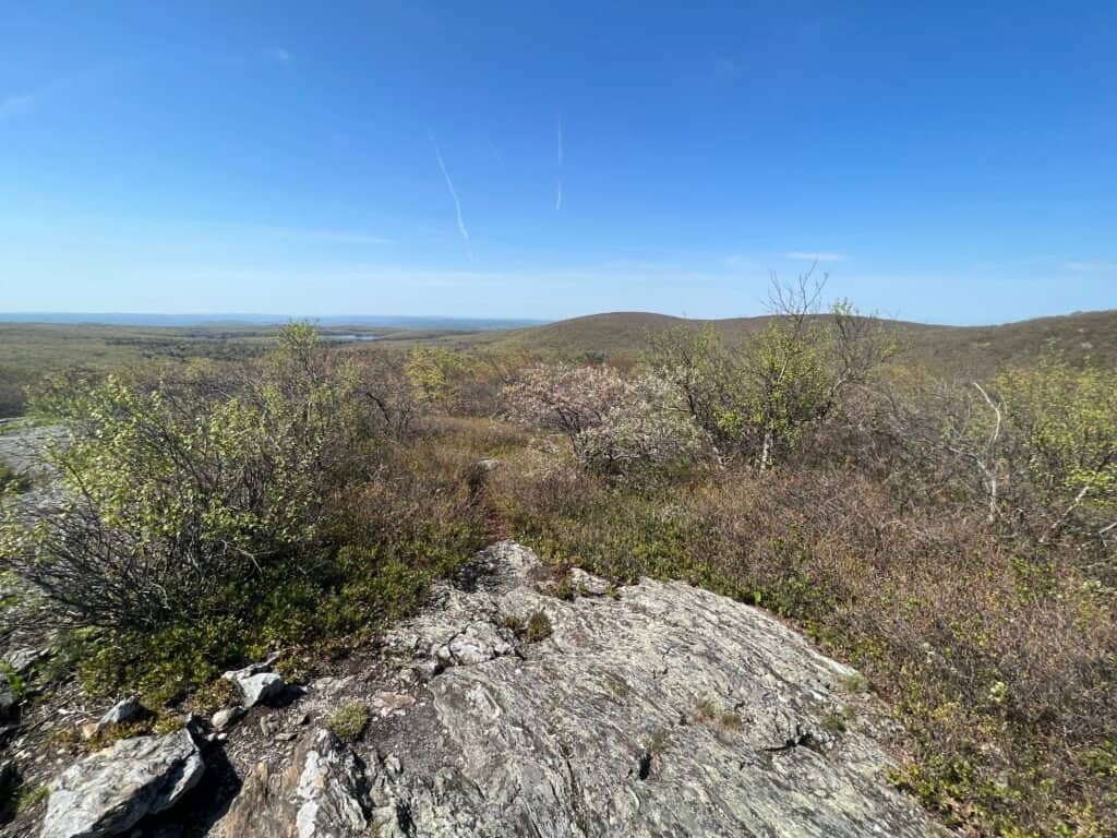 Summit view from Mount Frissell showing rolling hills and forested landscape near the Massachusetts and Connecticut border