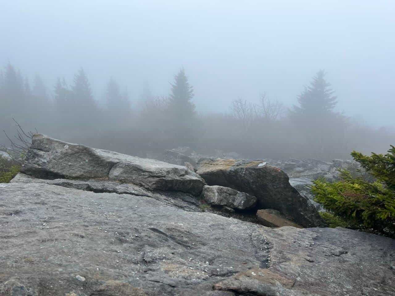 Foggy summit at Spruce Knob in West Virginia with rocks and spruce trees fading into mist at the state’s highest point