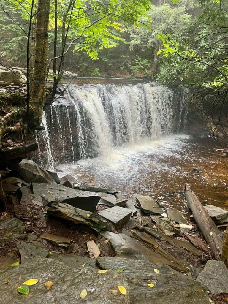 Oneida Falls along the Falls Trail in Ricketts Glen State Park, with water spilling over a wide rock ledge into a shallow pool surrounded by forest.