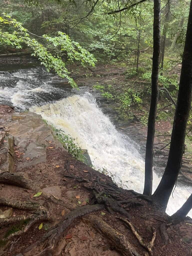 Cayuga Falls along the Falls Trail in Ricketts Glen State Park, with fast-moving water cascading over layered rock beside a wooded trail.