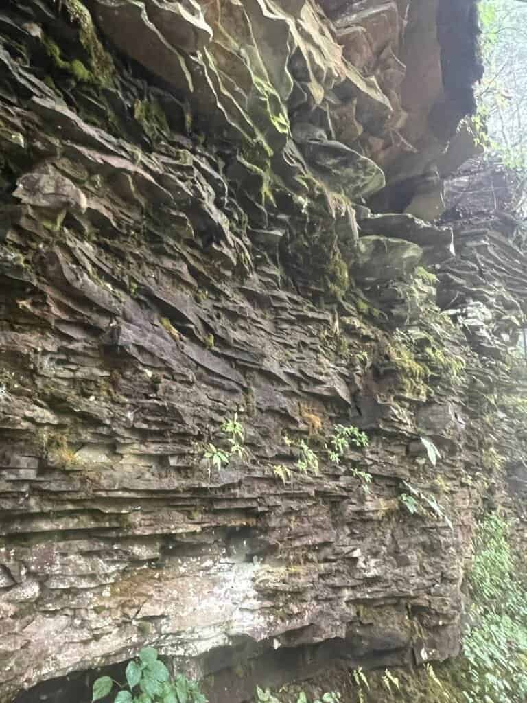Layered rock formations and moss-covered stone walls along the Falls Trail in Ricketts Glen State Park.