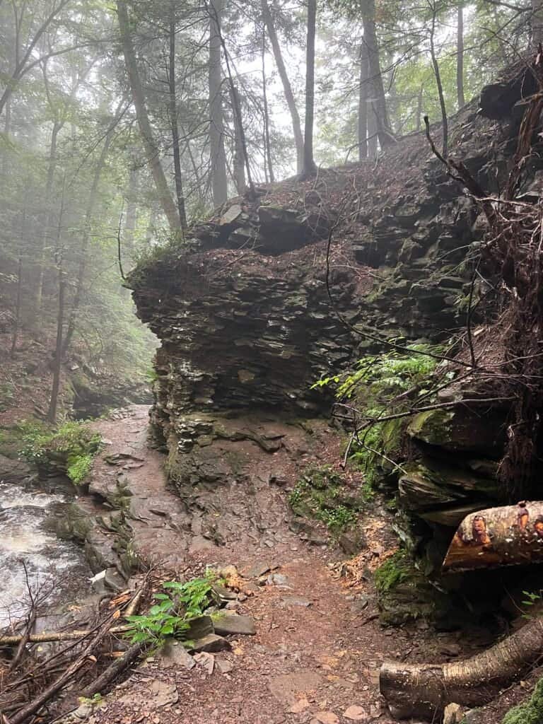Hiking trail passing beneath a rocky overhang along the Falls Trail in Ricketts Glen State Park.