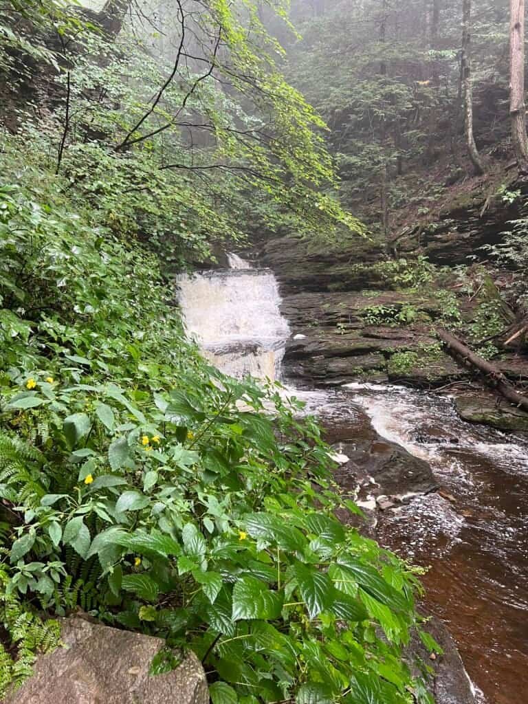 Seneca Falls along the Falls Trail in Ricketts Glen State Park, with water flowing over a rocky ledge surrounded by lush green forest