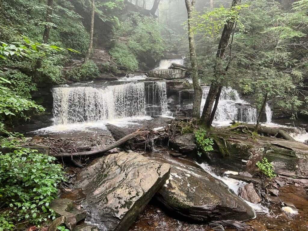 Delaware Falls along the Falls Trail in Ricketts Glen State Park, a wide cascade spilling over layered rock into a shallow stream.