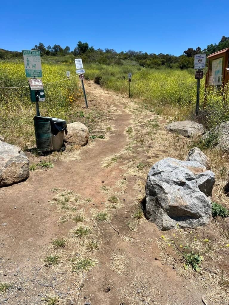 Entrance to McGinty Mountain trail with a narrow dirt path, posted regulations, and spring wildflowers lining the trail.