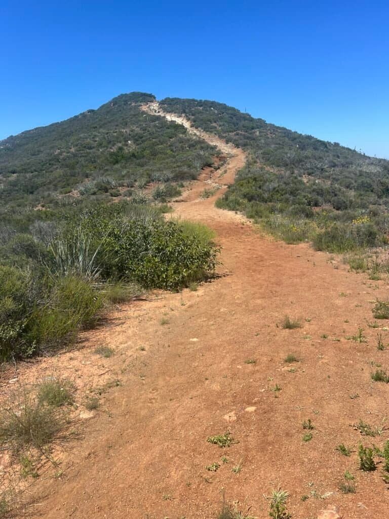 Steep dirt trail climbing toward what looks like the summit of McGinty Mountain under a clear blue sky.