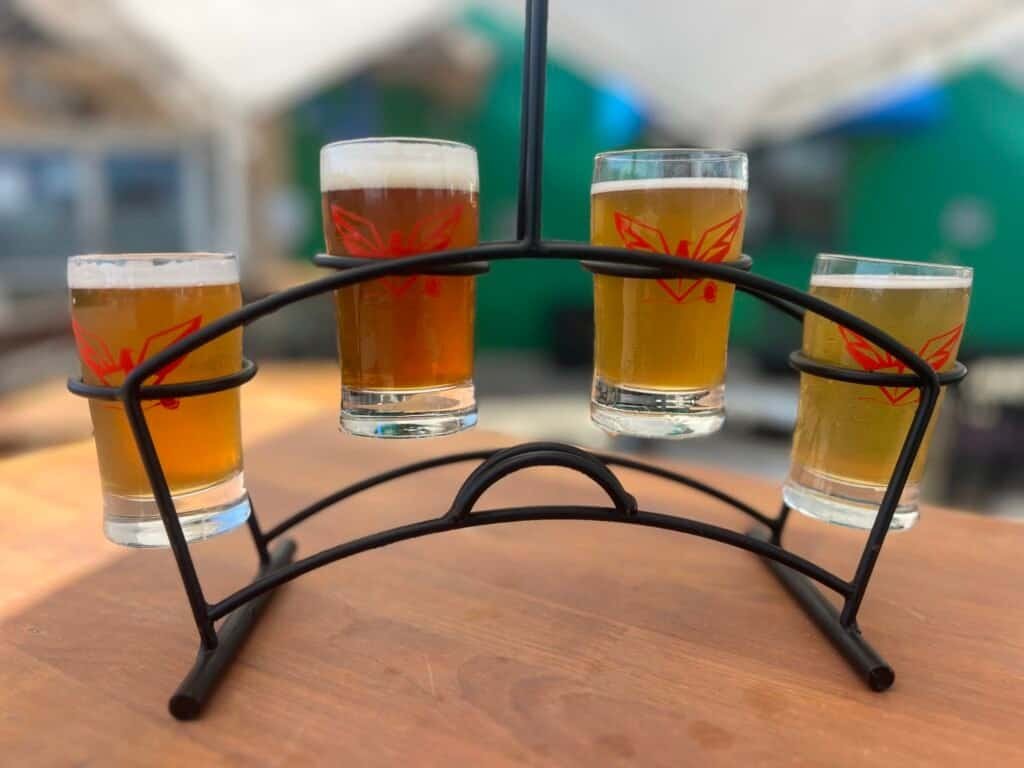 Flight of craft beer samples served on an outdoor table at Three Frogs Beer Company after a hike.