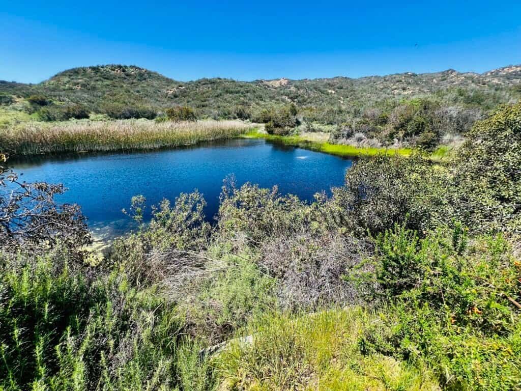 Small reflective pond surrounded by reeds and rolling hills at Daley Ranch in Escondido, California.