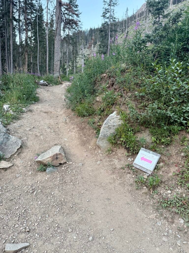Small trail sign with a pink arrow pointing toward Williams Lake, marking the start of the Wheeler Peak trail near Taos Ski Valley.