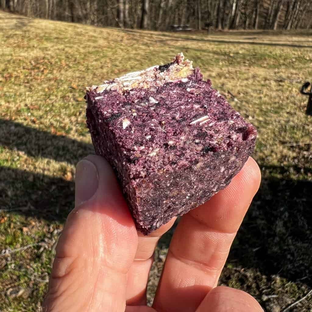 Blueberry lemon energy bite made with oats, nuts, and dried blueberries, held outdoors at a farmers market