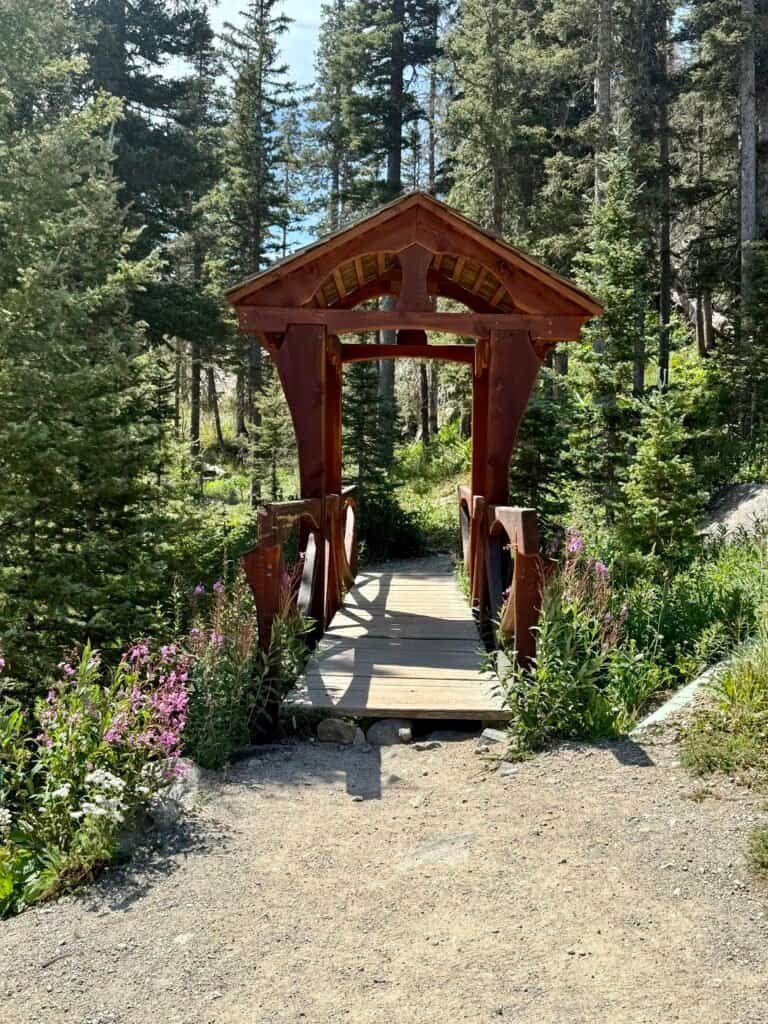 Small wooden footbridge along the Wheeler Peak Trail surrounded by evergreen forest in northern New Mexico.