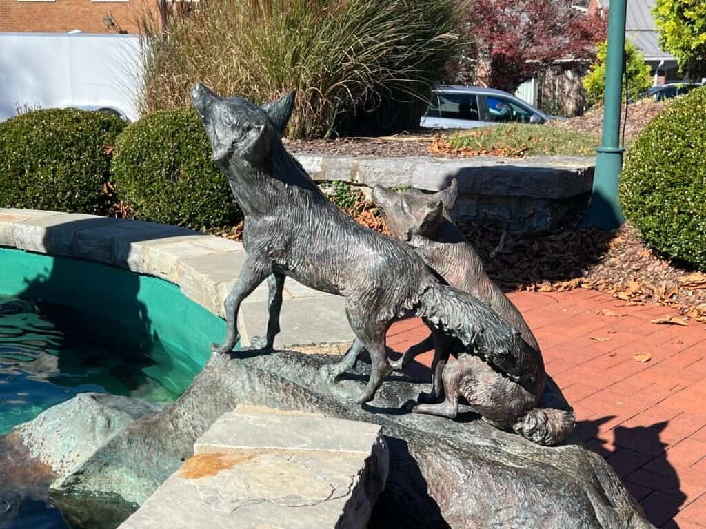 Bronze wolf sculptures near a fountain in downtown Abingdon, Virginia.