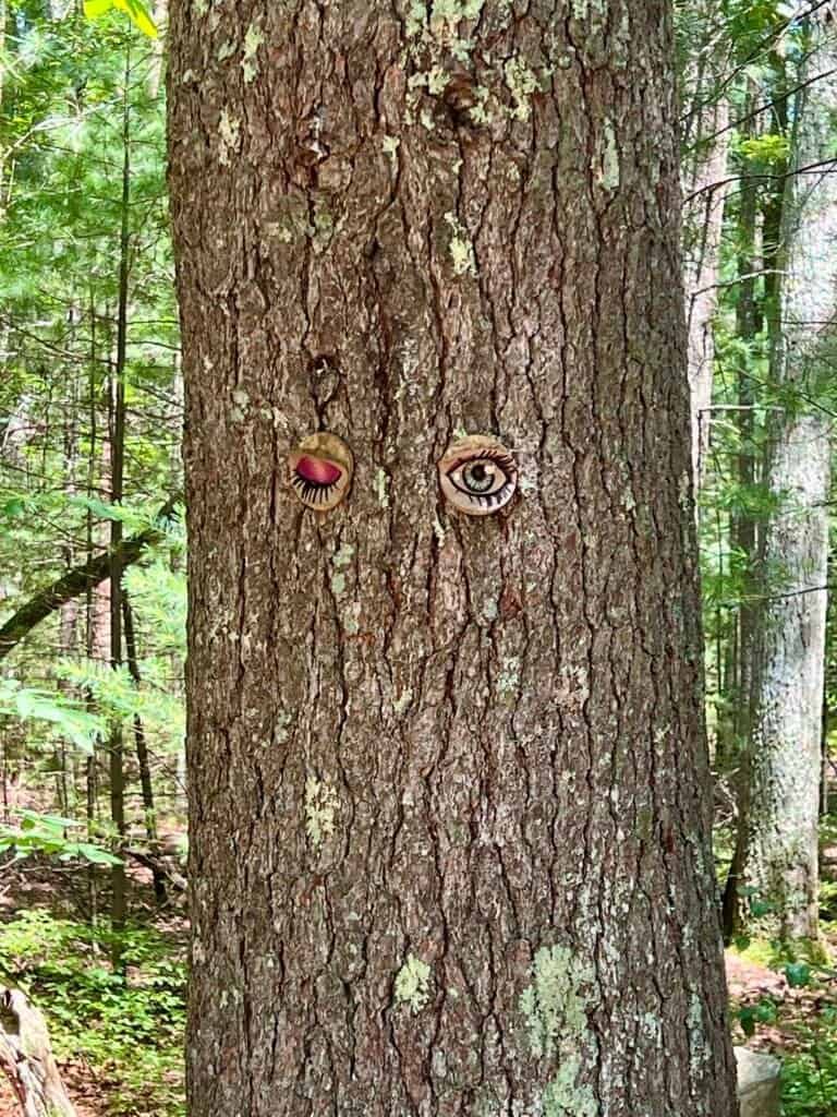 Decorative wooden eyes mounted on a tree trunk along the Jerimoth Hill trail