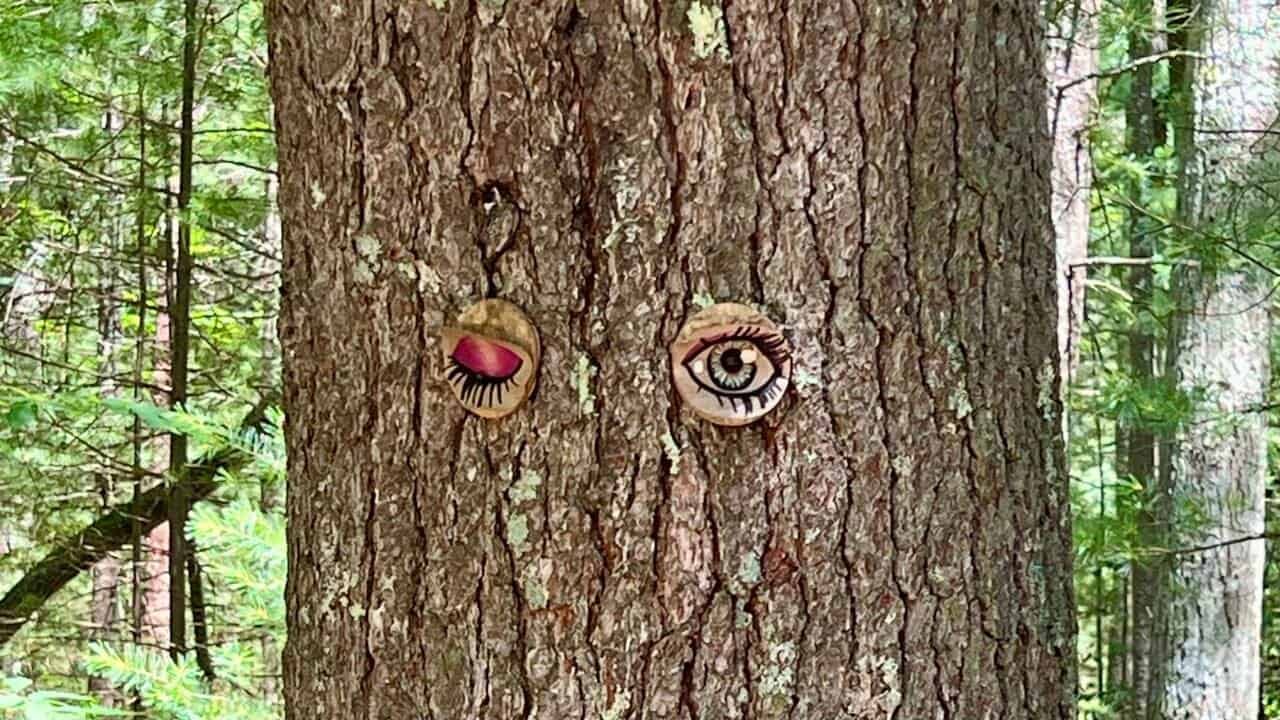Hand-painted eyes attached to a tree along the trail to Jerimoth Hill, Rhode Island