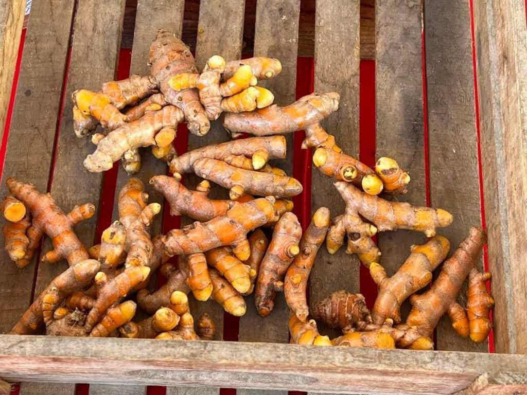 Fresh baby turmeric roots displayed in a wooden crate at a farmers market