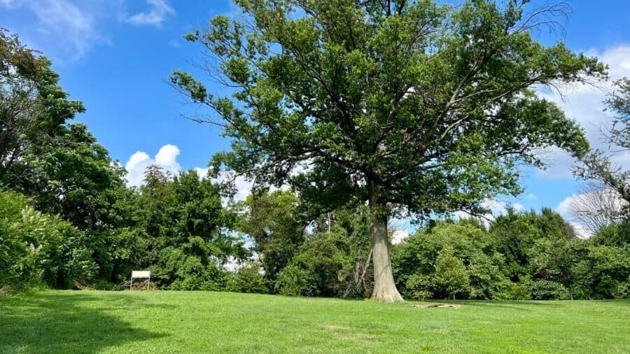 Grassy knoll at Fort Reno Park marking Point Reno, the highest point in Washington, D.C.