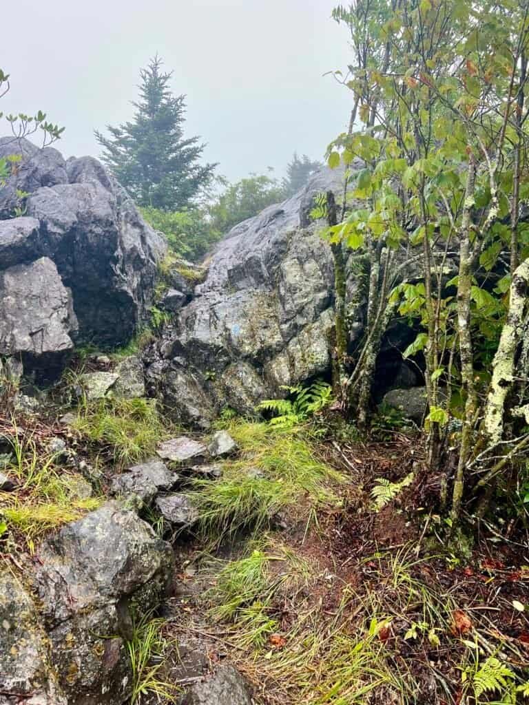 Narrow rock passage and slick stone steps on Wilburn Ridge Trail in wet conditions.