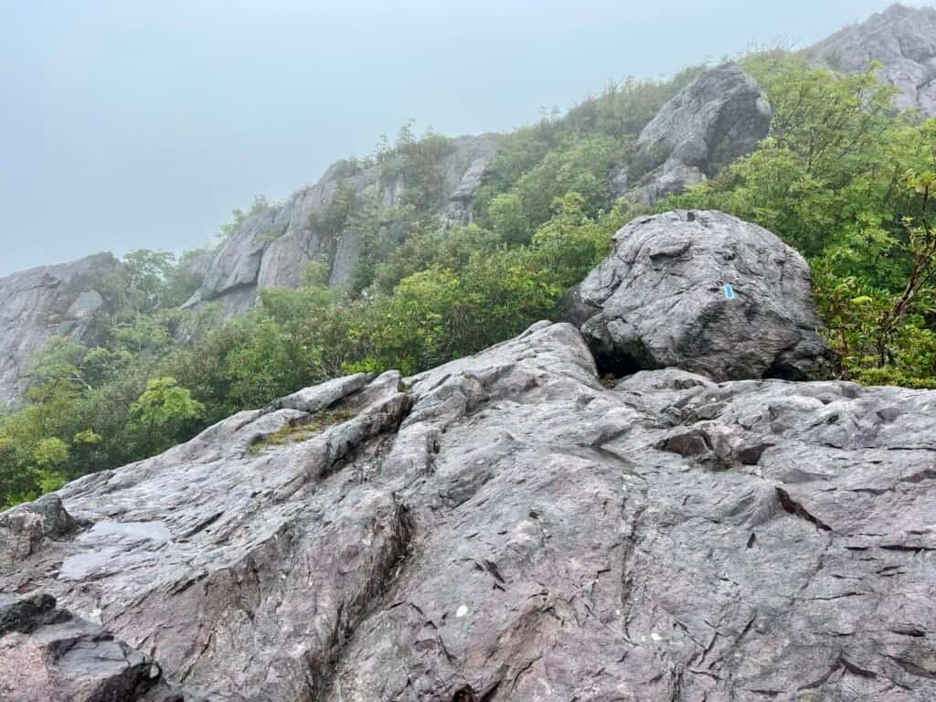 Wet rock scramble with blue trail blaze on Wilburn Ridge Trail, Mount Rogers, Virginia