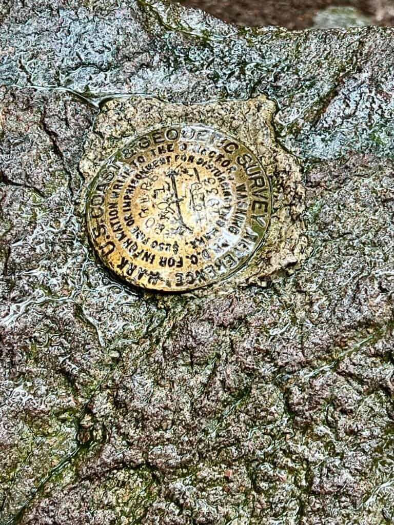 Mount Rogers summit medallion embedded in rock marking Virginia’s high point