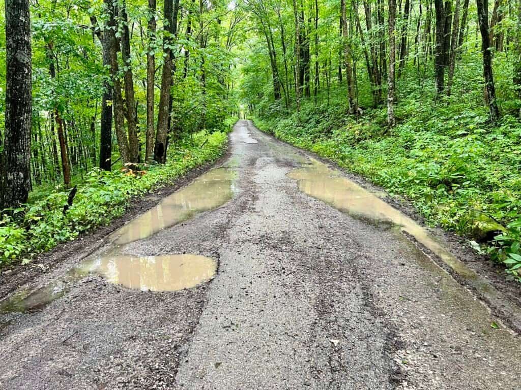 Muddy stretch of Black Mountain Ridge Road leading toward the summit after heavy rain