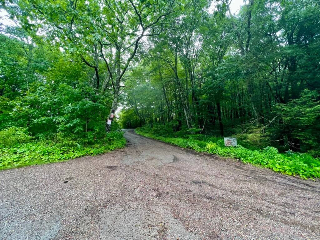 Start of Black Mountain Ridge Road leading uphill through dense forest