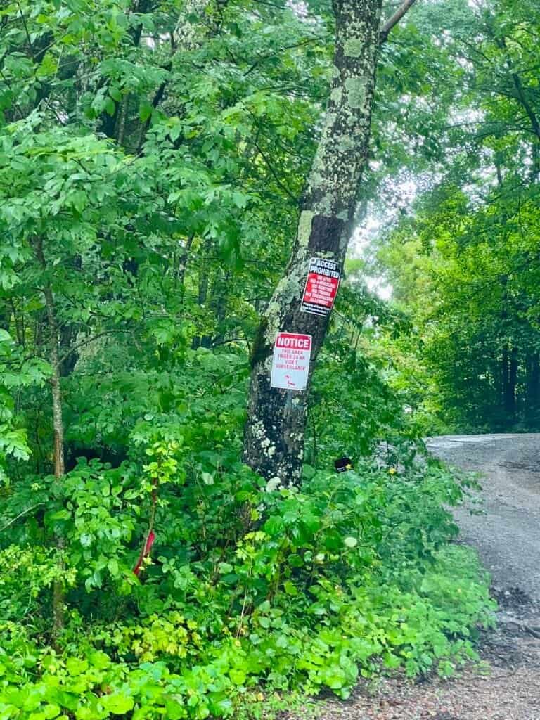 No Trespassing and surveillance signs posted along Black Mountain Ridge Road