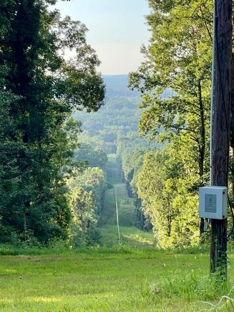 Narrow tree-lined view from the summit of Woodall Mountain