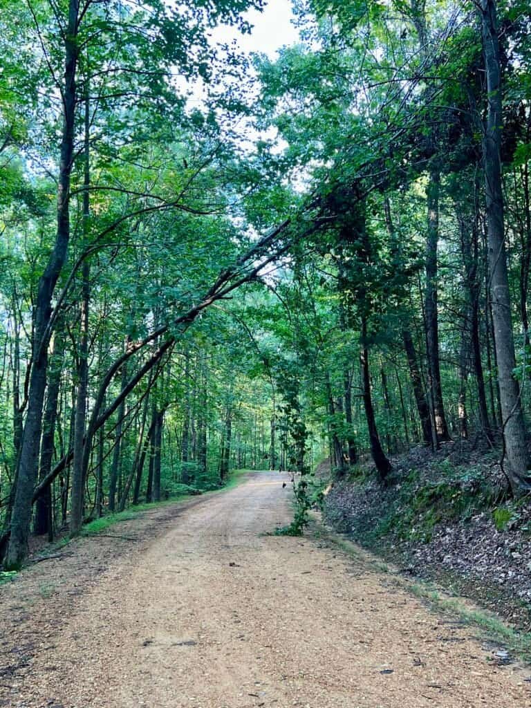 Unpaved gravel road leading uphill to the summit of Woodall Mountain, Mississippi