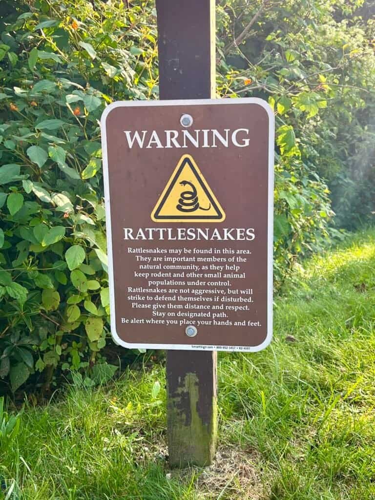 Rattlesnake warning sign along the paved trail to Brasstown Bald summit