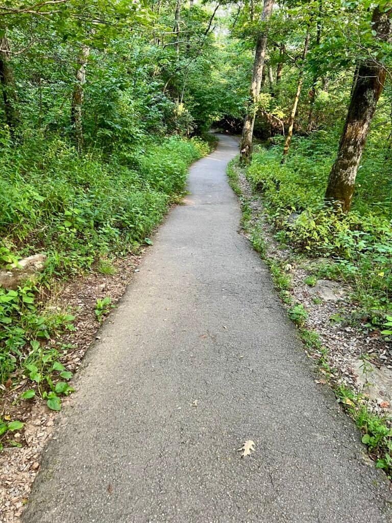 Paved walking trail leading to the summit of Brasstown Bald in Georgia