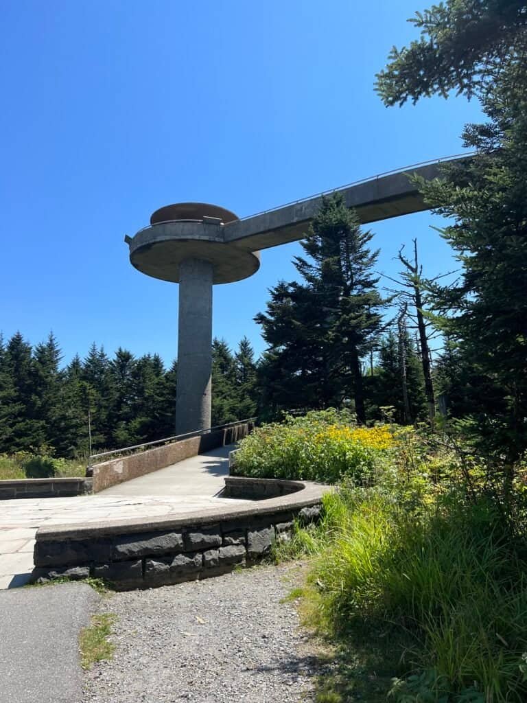 Clingmans Dome observation tower rising above evergreen forest in Great Smoky Mountains National Park