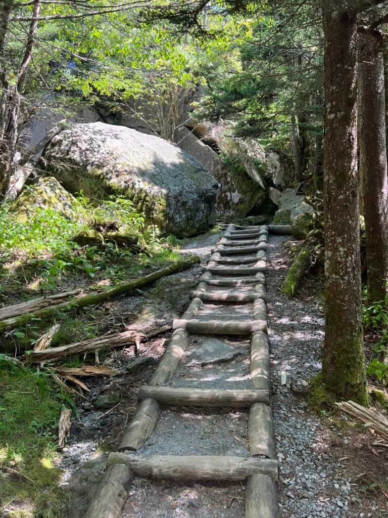 Log steps climbing uphill near the end of the Clingmans Dome Bypass Trail