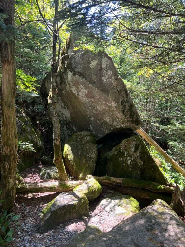 Large moss-covered boulders beside the Clingmans Dome Bypass Trail near its end