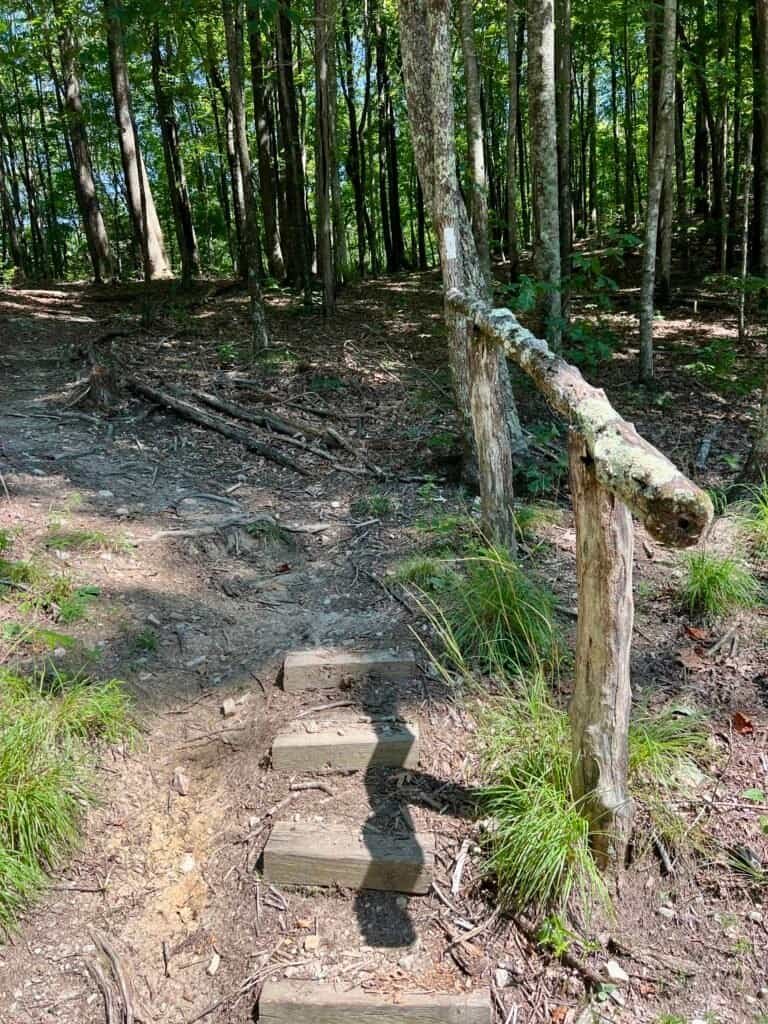 Foothills Trail entrance with steps and railing across Sassafras Mountain Road from the Chimney Gap access area