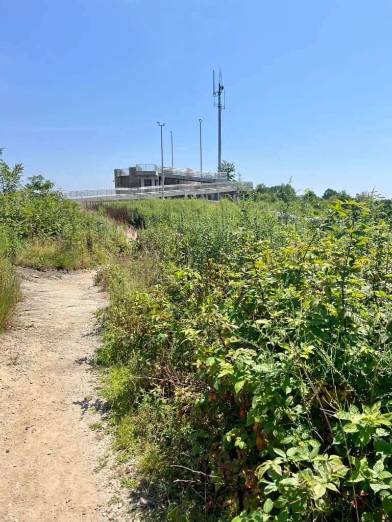 Observation tower visible ahead near the summit of Sassafras Mountain along the final approach trail