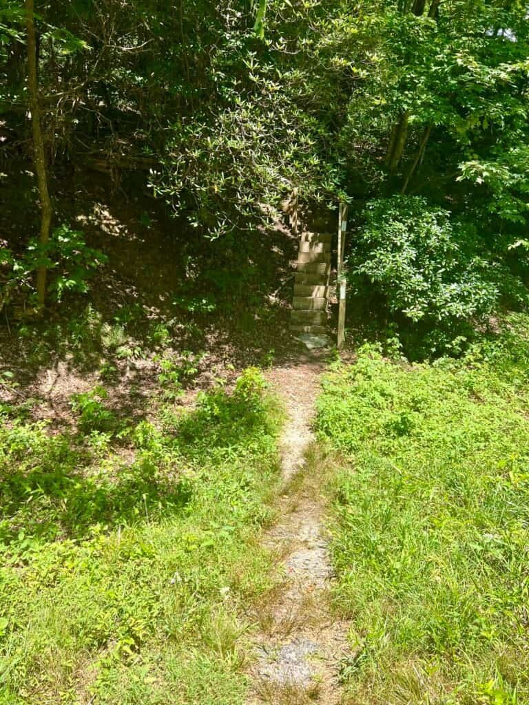 Wooden stairs with handrails marking the final climb to the summit of Sassafras Mountain